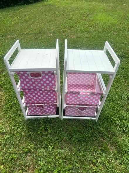 Photo of free Girl storage shelves (Germantown) #1