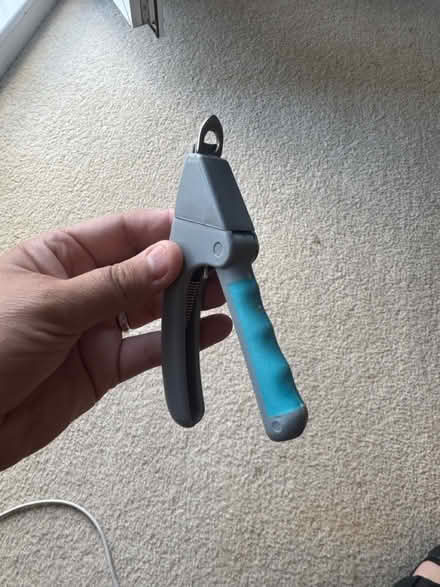 Photo of free Dog nail trimmers (Dawlish Devon EX7) #1