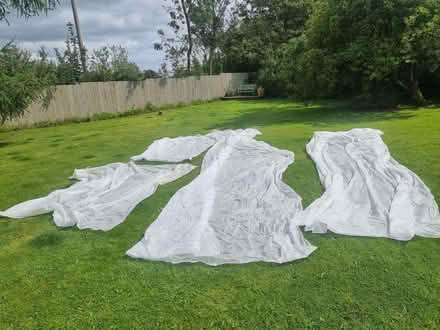 Photo of free Frost covers, about 12m (Great Strickland CA10) #1