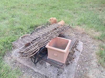Photo of free GardenPlanting & Decorative Edging (Redditch Oakenshaw B98) #1