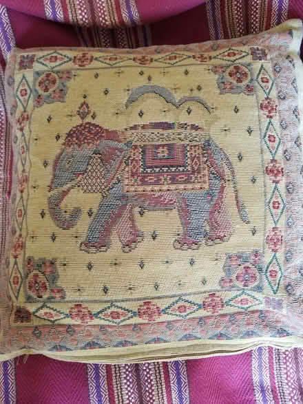 Photo of free Cushion and Throw (St Albans AL3) #3