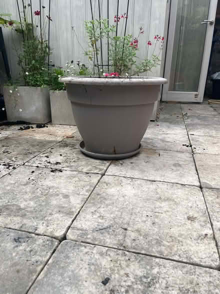 Photo of free Large plastic plant pot and saucer (CB1) #1