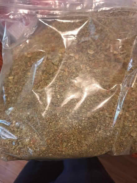 Photo of free Veg dog food (needs protein added) (SR, Bret Harte, near Jackson's) #3