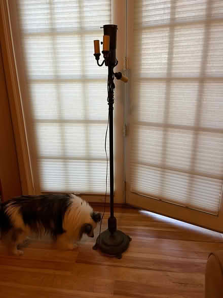 Photo of free 1940s (?) Floor Lamp (Flower and Wayne Aves., SS) #1