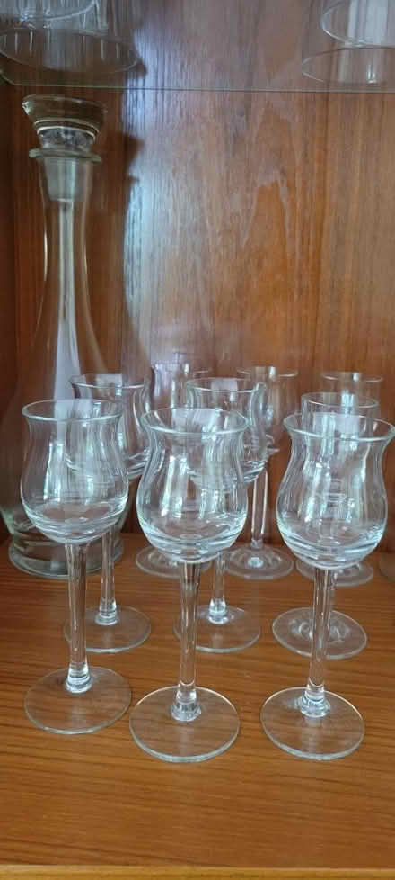 Photo of free Glass decanter and 9 tulip glasses (Newark) #2