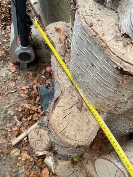 Photo of free Wood - large logs- need chopping (Marston OX3) #4