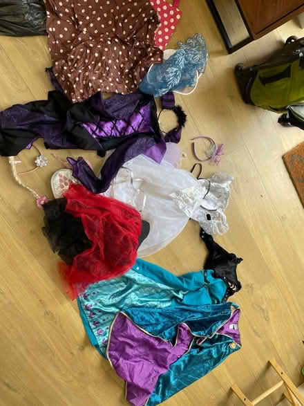 Photo of free Children’s fancy dress (PR6 Heapey Bank) #1