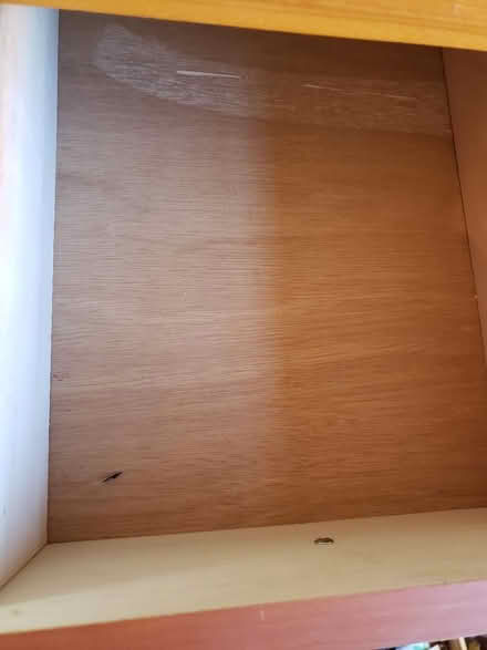 Photo of free Baby Toddler Dresser Furniture (Front Royal) #2
