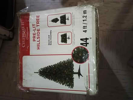 Photo of free Christmas tree (By the Seaport) #1