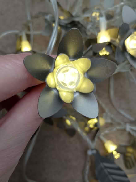 Photo of free Metal leaf and flower fairy lights (indoor use) (Weston) #1