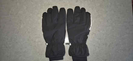 Photo of free Gloves (Clanfield) #1