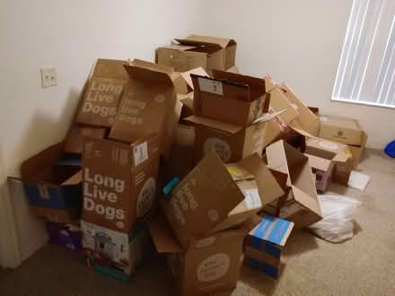 Photo of free Moving boxes (Tarpon Springs) #1