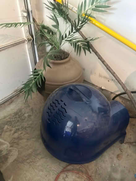 Photo of free Cat supplies (Germantown) #1