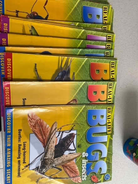 Photo of free Bugs and insects magazines (ME8) #1