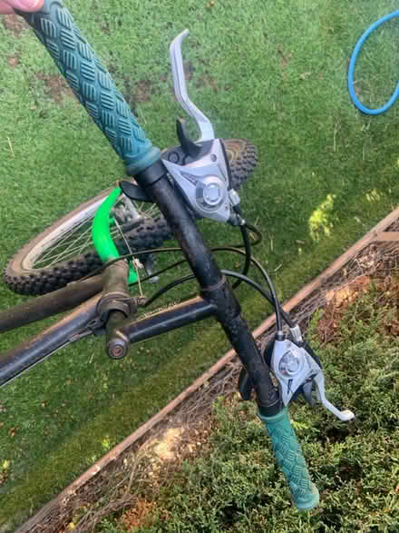 Photo of free Bicycle (Bitton) #2