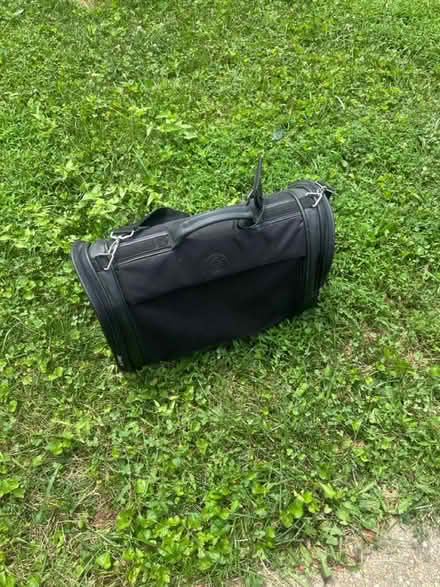 Photo of free Cat supplies (Germantown) #2