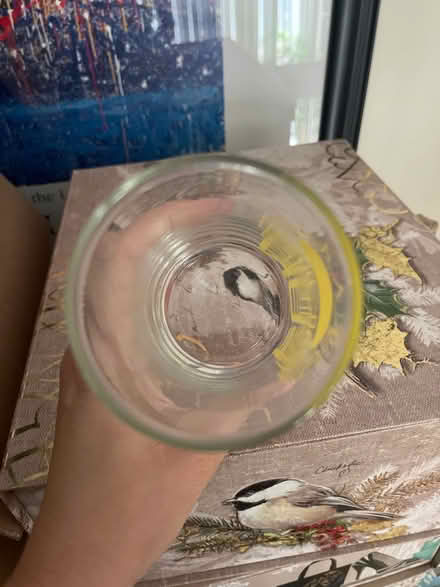 Photo of free Glass Cup (Farmington Hills) #2