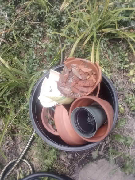 Photo of free Pot Shards (South Laurel) #1