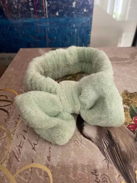Photo of free Headband (Farmington Hills) #1