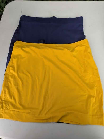 Photo of free 2 womens miniskirts (Davis Square Somerville) #1