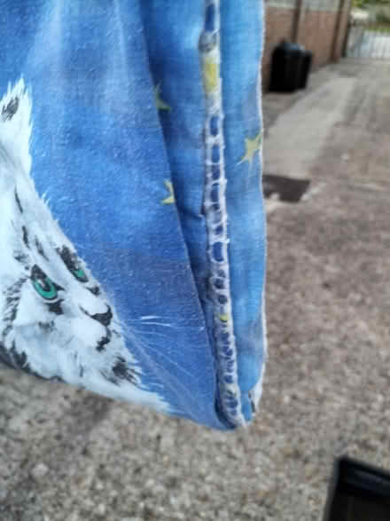 Photo of free Fluffy Cat Theme Single Duvet (Waterlooville PO7) #3