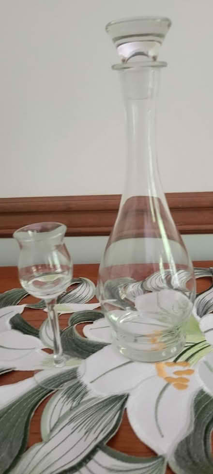 Photo of free Glass decanter and 9 tulip glasses (Newark) #1