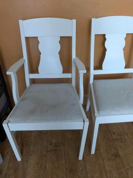 Photo of free Two big IKEA dining chairs (Hove Green BN3) #3