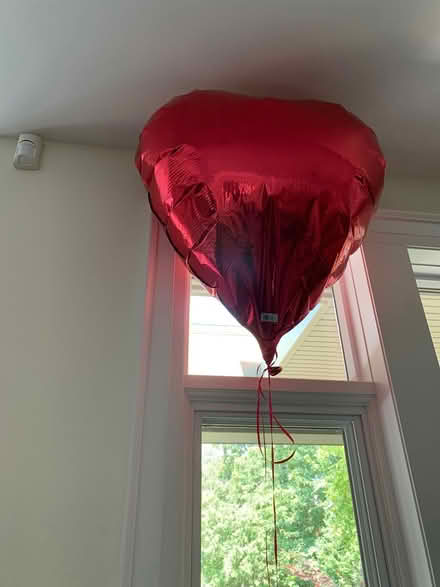 Photo of free Heart shaped balloons (Royal York and Bloor) #1