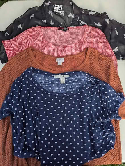 Photo of free 3 womens short sleeve blouses (Davis Square Somerville) #1
