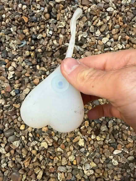 Photo of free Bike balls rear light (SE13) #1