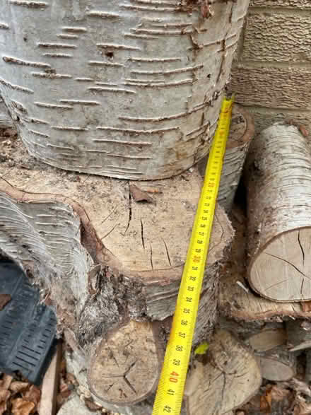Photo of free Wood - large logs- need chopping (Marston OX3) #2