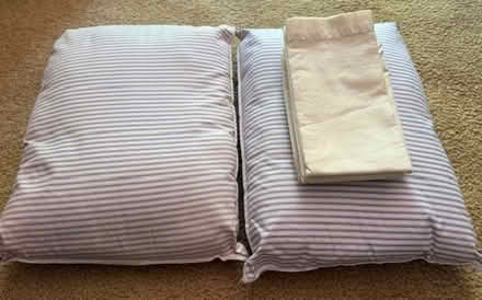 Photo of free Small Pillows with cases (Cupertino - DeAnza and 280) #1