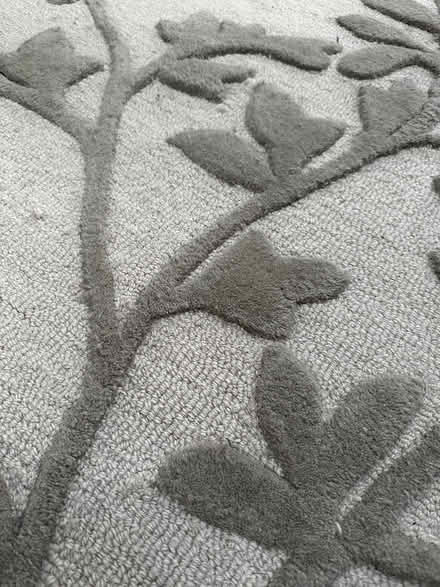 Photo of free Beige wool floral rug (Kingston, KT2) #2