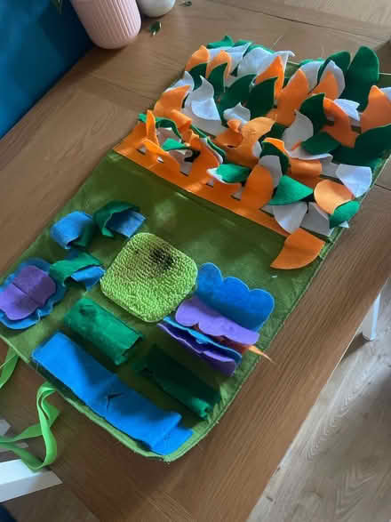 Photo of free Dog snuffle mat (Diglis WR5) #1