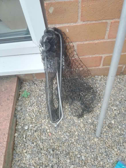 Photo of free Fishing rods and net and feathers (Harrogate. HG1.) #3