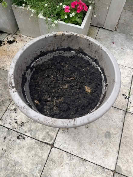 Photo of free Large plastic plant pot and saucer (CB1) #2