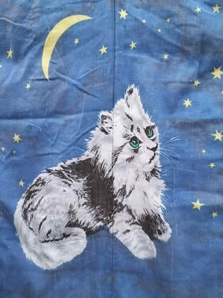 Photo of free Fluffy Cat Theme Single Duvet (Waterlooville PO7) #2