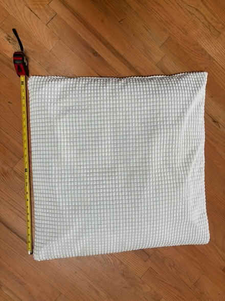 Photo of free Floor pillow (South Loop) #3
