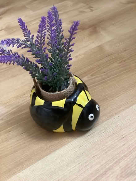 Photo of free Artificial plants (White City W10) #2