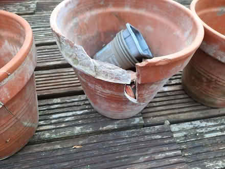 Photo of free 3 Earthenware Plant Pots (Allerton BD15) #4