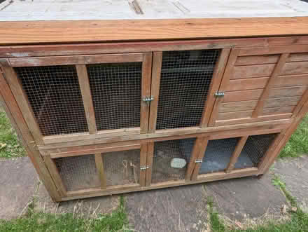 Photo of free Pet Hutch Guinea Pigs (Horsham Roffee) #1
