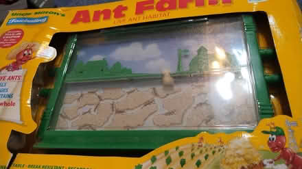 Photo of free Ant Farm (Allen) #1
