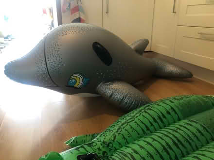 Photo of free Pool inflatables (Newfield Green S14) #2