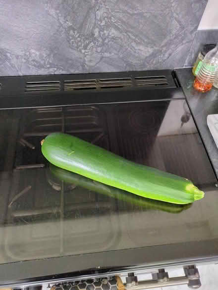 Photo of free Marrow (Roffey) #1