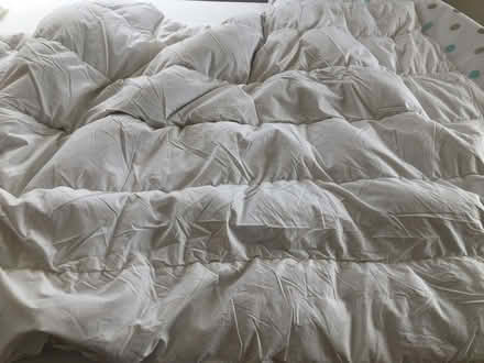 Photo of free Single Natural Duvet - Down/Feather (Brundall NR13) #1