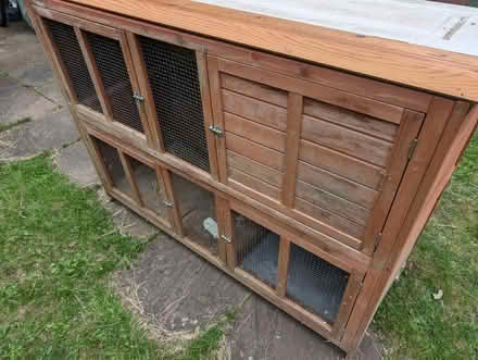 Photo of free Pet Hutch Guinea Pigs (Horsham Roffee) #2