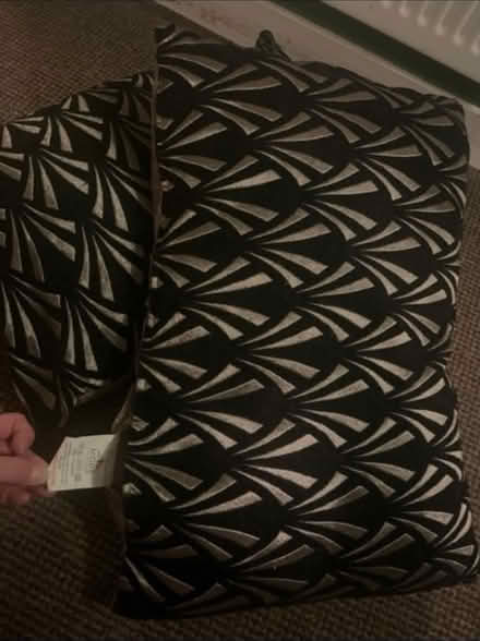 Photo of free Sofa cushion x 2 (Cannonmills EH7) #1