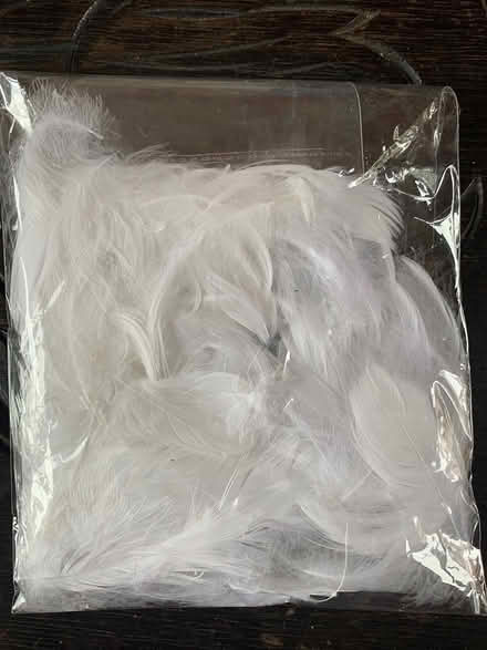 Photo of free Feathers for crafting (Sharrow, S7) #1