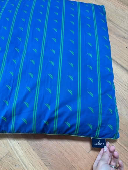 Photo of free Floor pillow (South Loop) #2