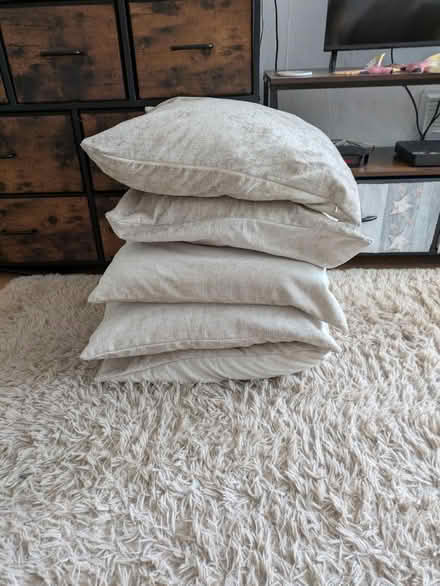 Photo of free Cushions (Kingshurst B37) #2